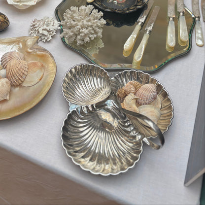 Table with decorative items including shell plates, coral, and silverware on a white tablecloth.
