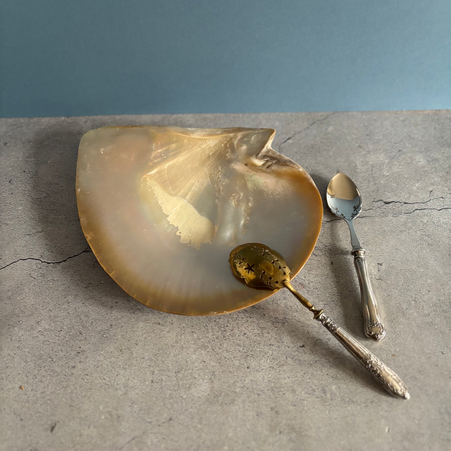 Antique Mother Of Pearl Natural Shell Dish with two silver spoons on a textured surface