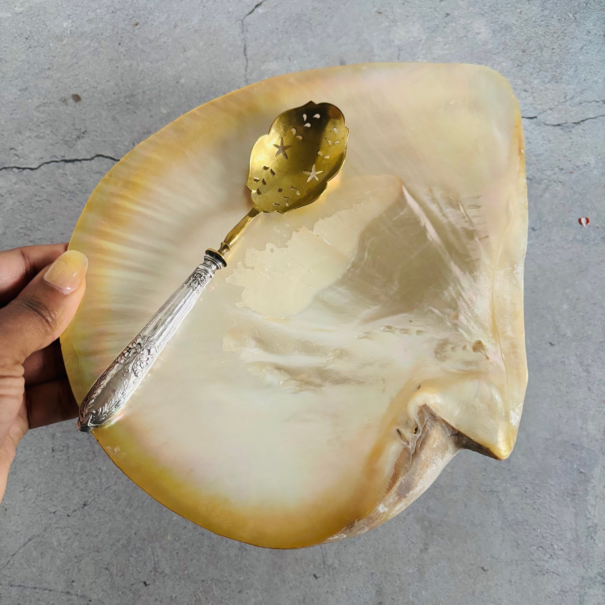 Large shell with a decorative spoon inside on a gray surface