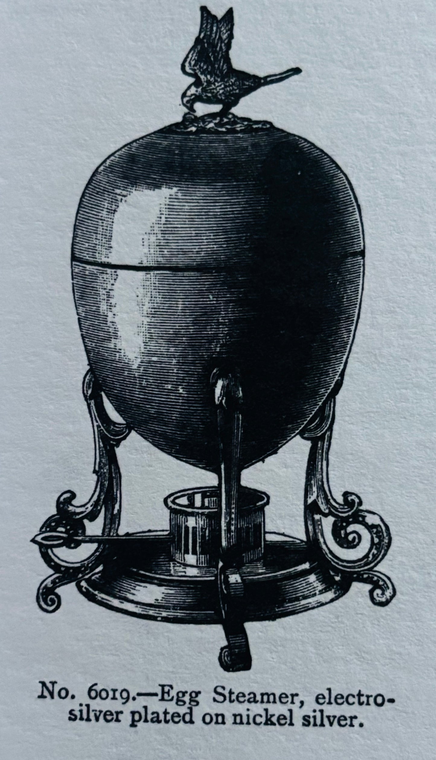 The Groom Neil - Antique Silver Egg Coddler with Eagle Nest Finial
