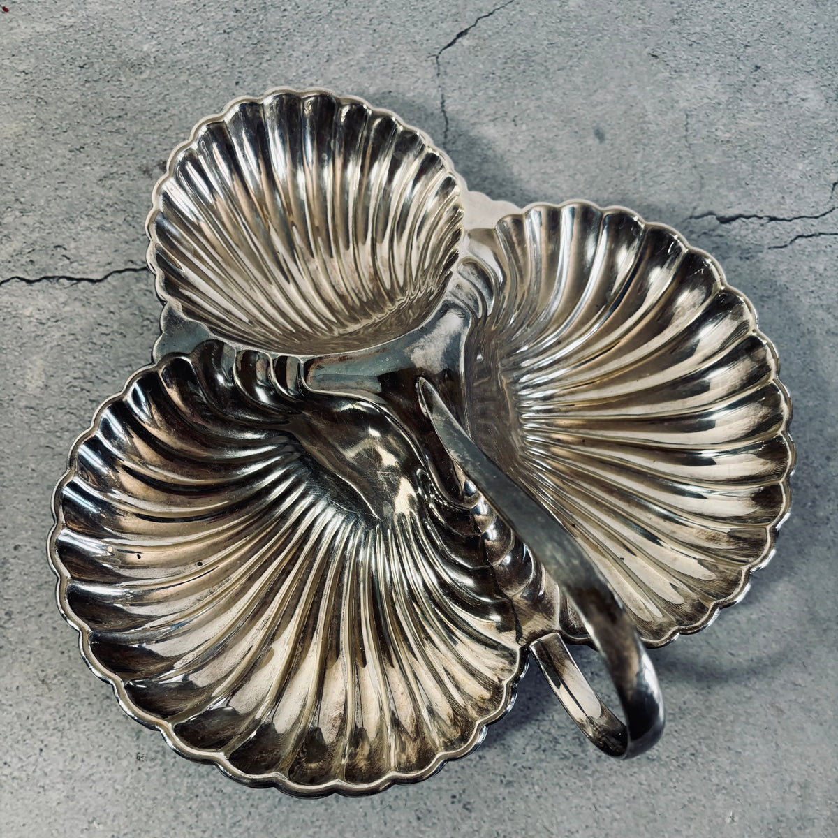 Silver shell-shaped dish on a gray concrete surface