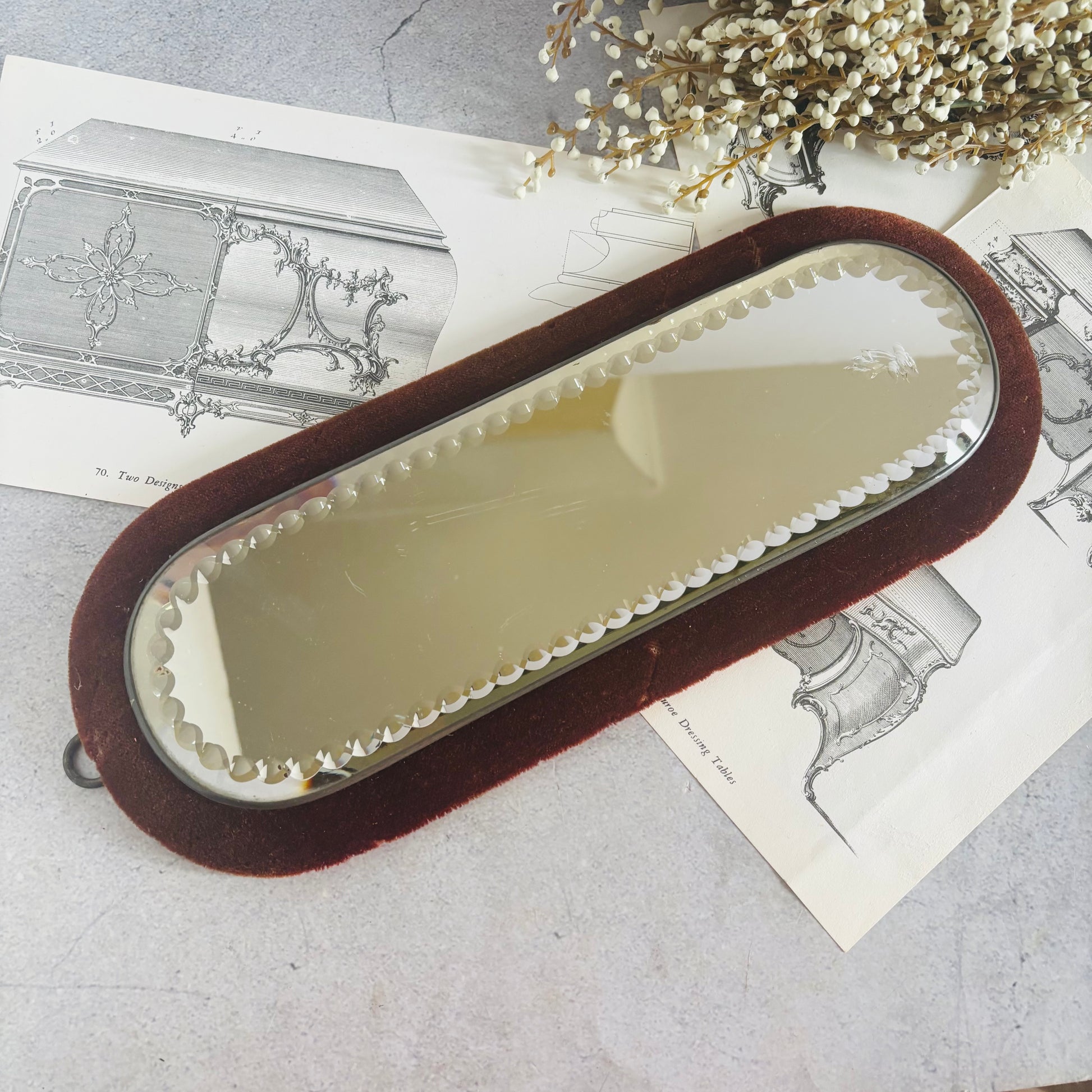 Victorian Sorcerers Mirror Velvet Trimmed | Display Mirror Plateau