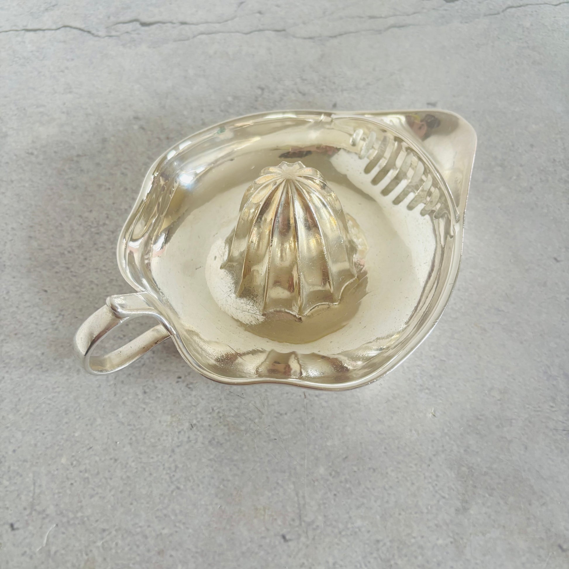 Silver shell-shaped juicer on a gray surface
