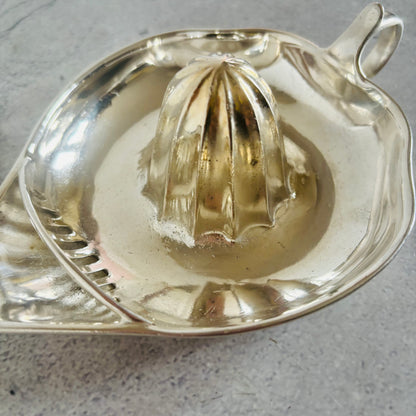 Metallic lemon squeezer on a textured surface