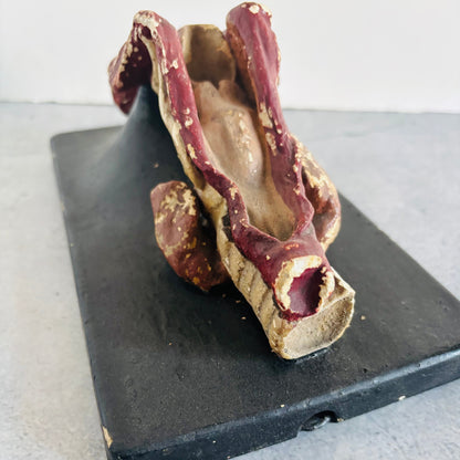 Antique Cast of Tongue  | Bock Steger Lips | The Urban Vintage Affair