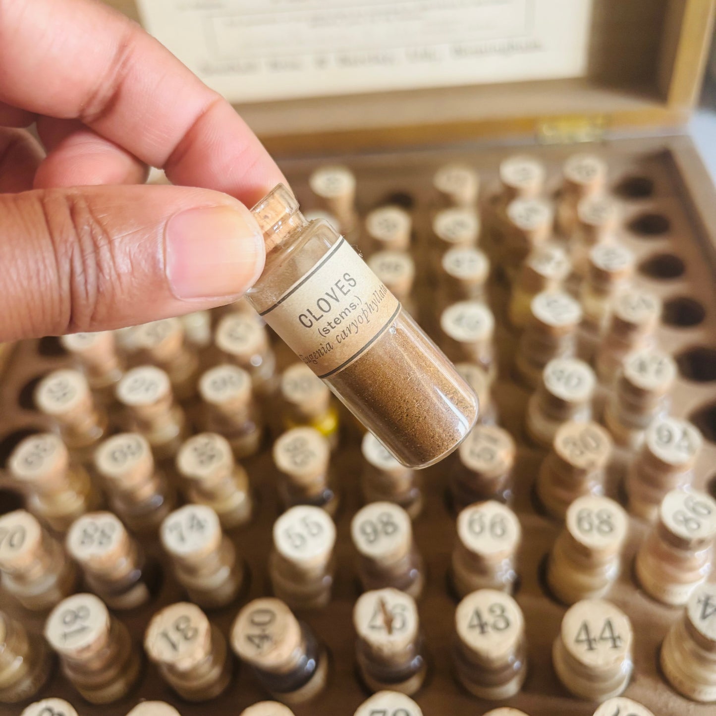 The Director Irene - Antique Analytical Specimen Sample Box