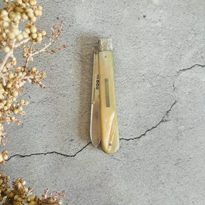 Silver and Mother Of Pearl Folding Fruit Knife 1914