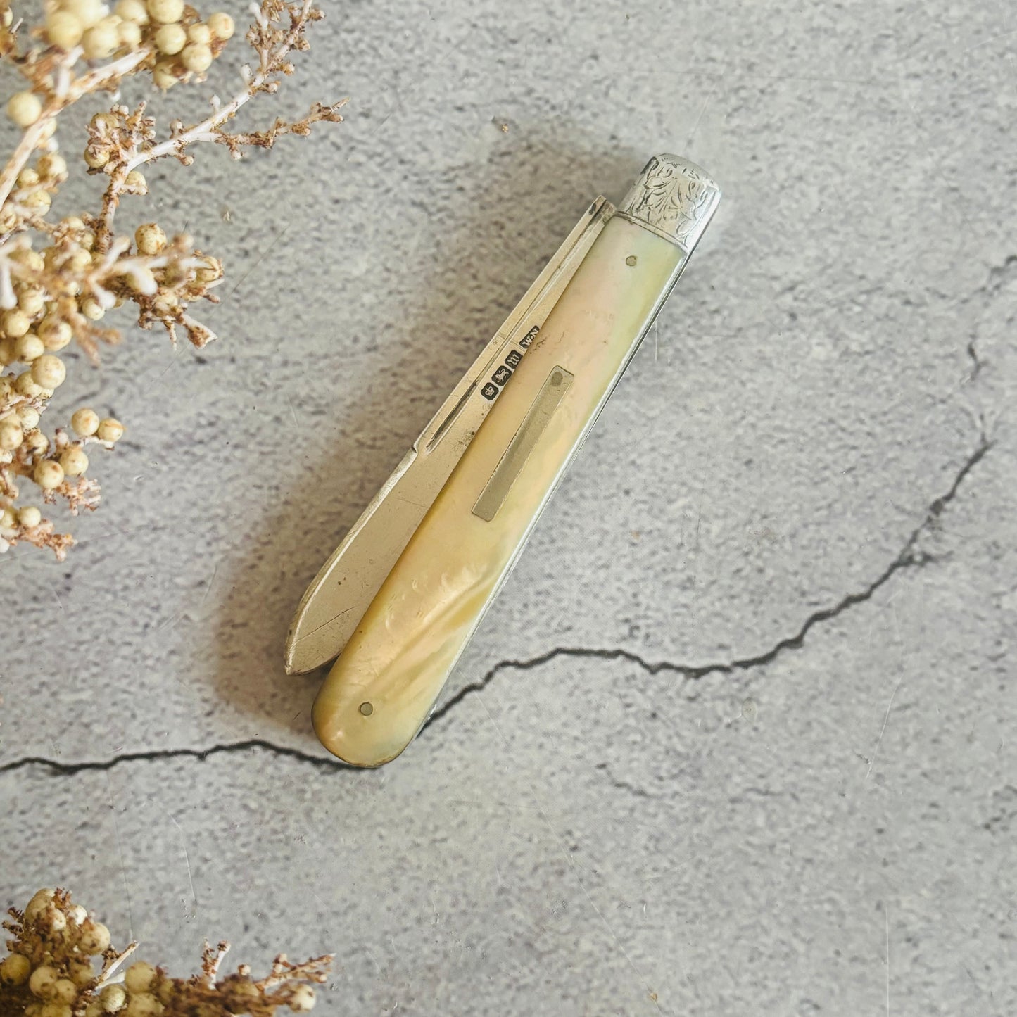 Silver and Mother Of Pearl Folding Fruit Knife 1914