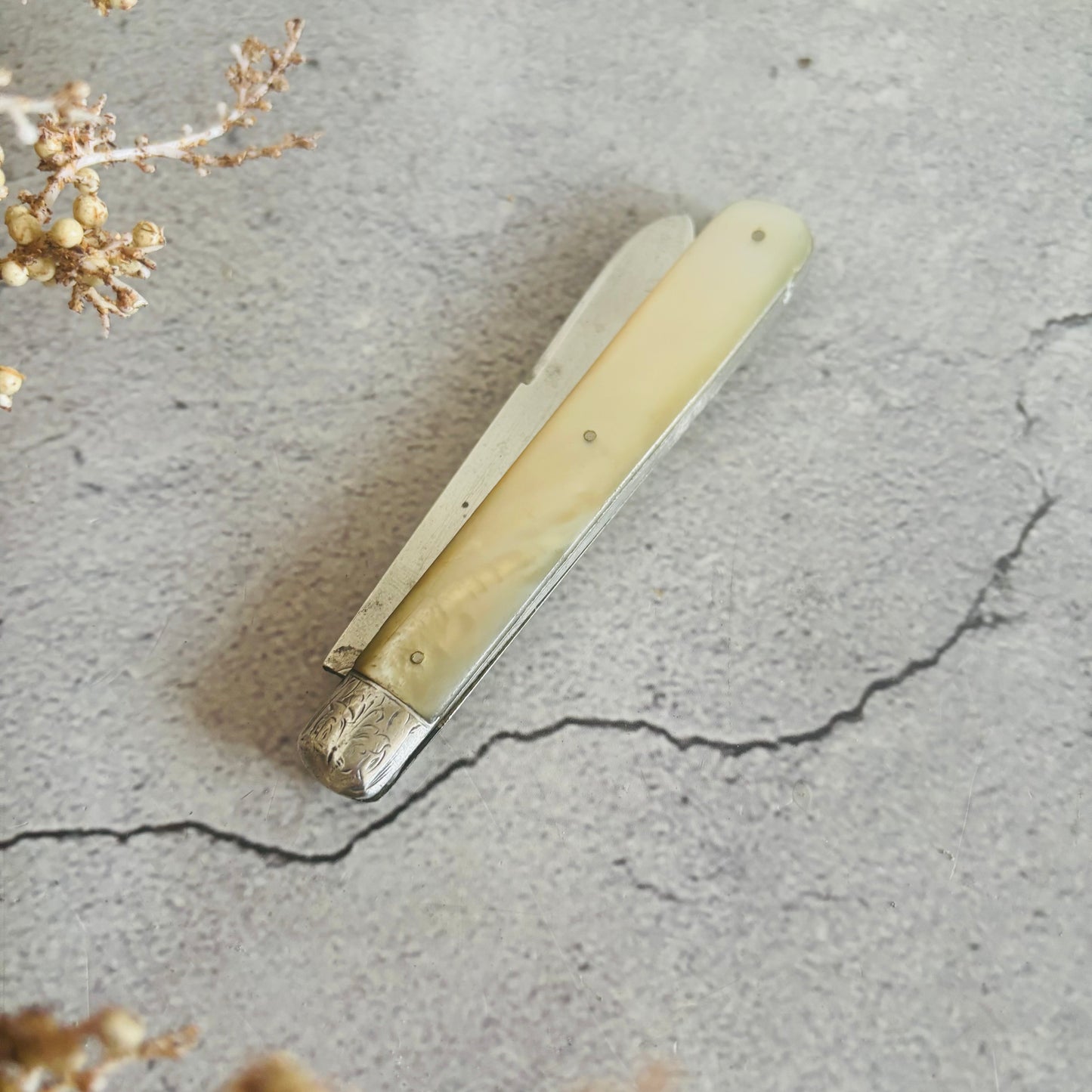 Silver and Mother Of Pearl Folding Fruit Knife 1914