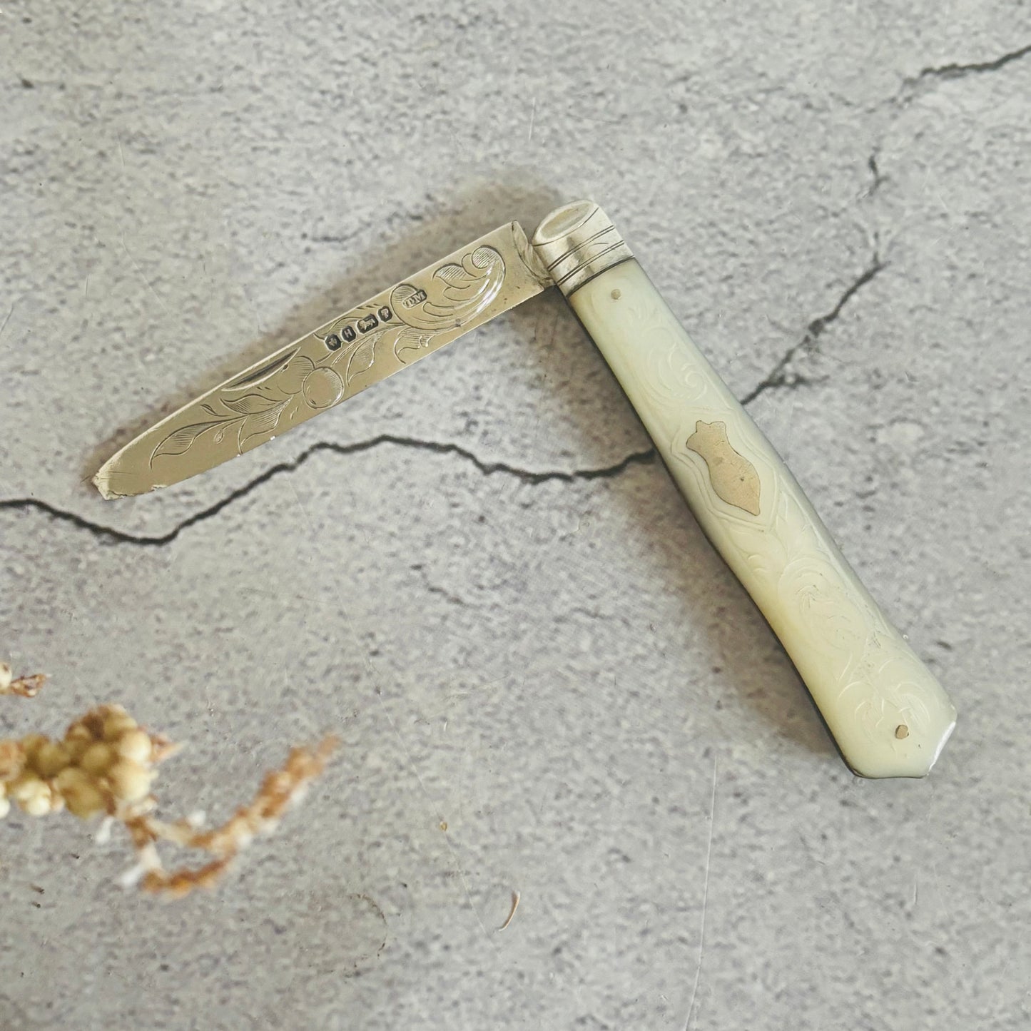 Victorian Silver Folding Fruit Knife 1875