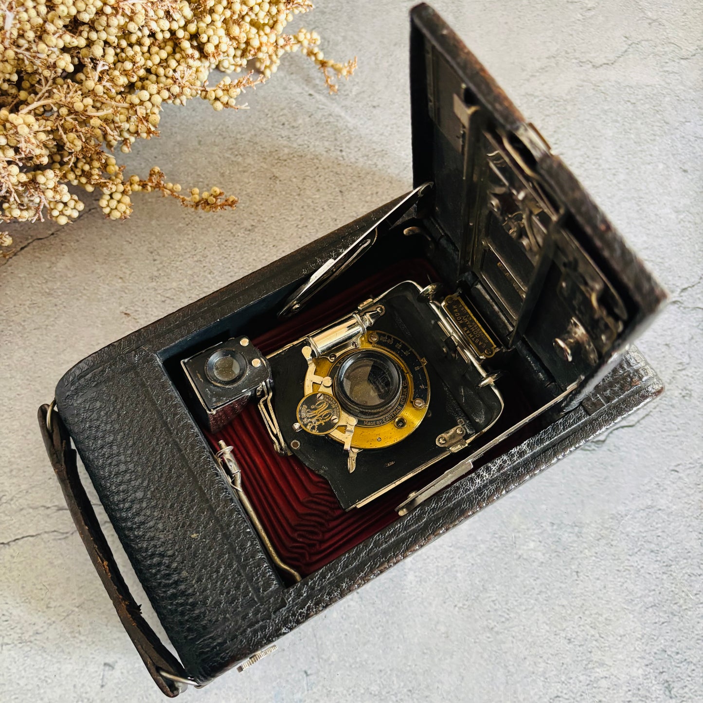 The Director Femi - Antique Kodak Camera