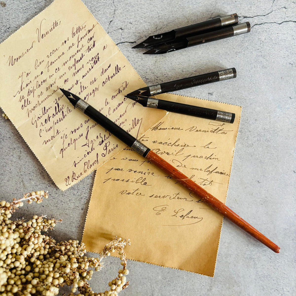 Vintage Premium Nib Dip Pen & Spare Nibs 