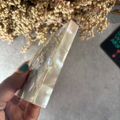 Rare Antique Mother Of Pearl And Sterling Silver Calling Card Case 
