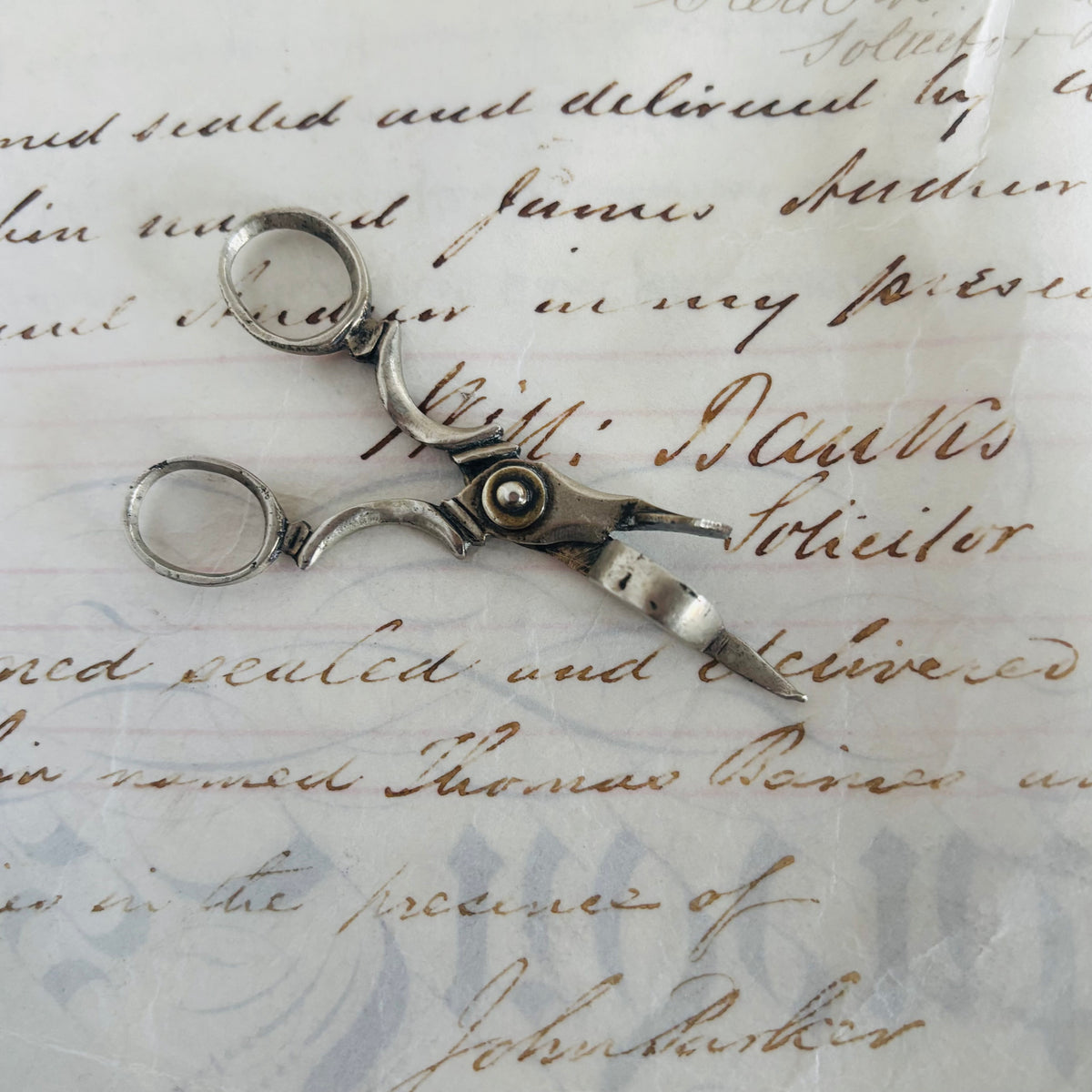 The Director Camille - Georgian Miniature Candle Snuffer Douter