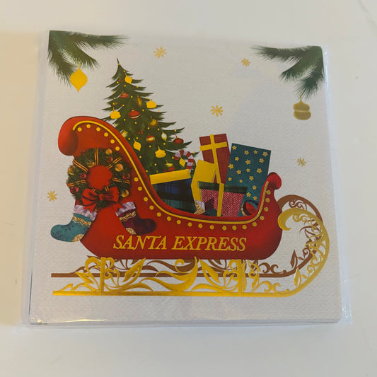 Lupus UK Christmas Cards Pack of 10 - Santa Express