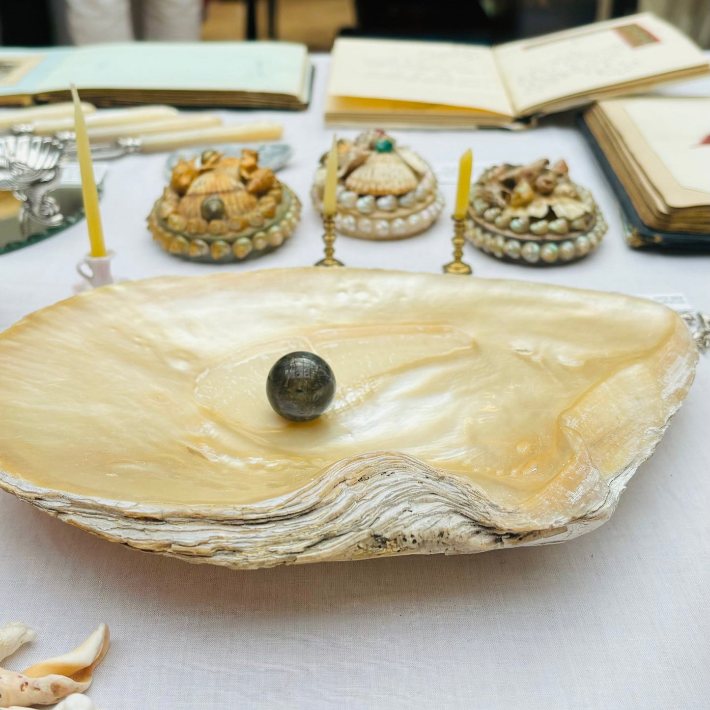 Antique Mother Of Pearl Natural Shell Dish |The Urban Vintage Affair