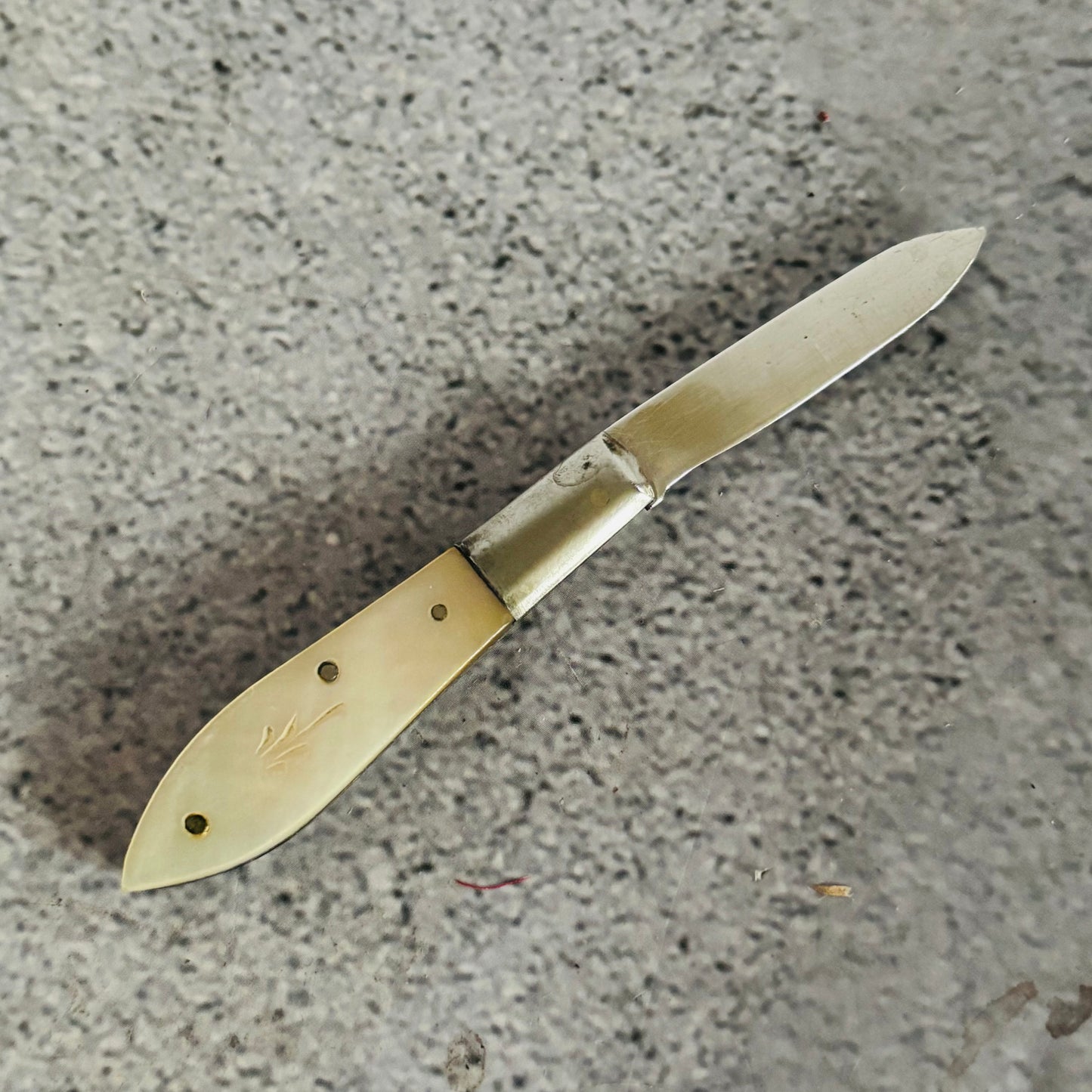 Antique Silver and Mother of Pearl Folding Fruit Knife