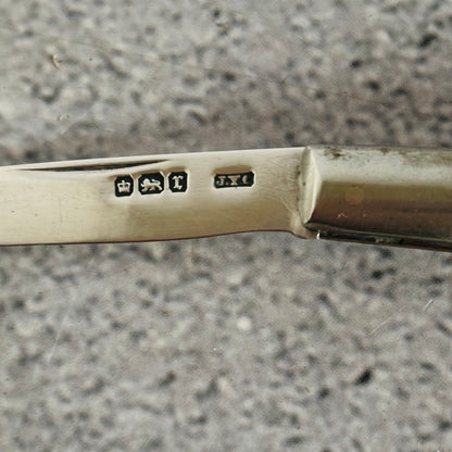 Antique Silver and Mother of Pearl Folding Fruit Knife