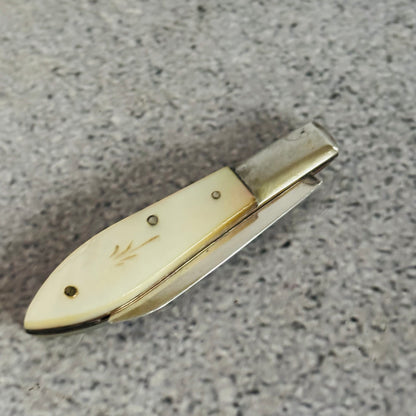 Antique Silver and Mother of Pearl Folding Fruit Knife