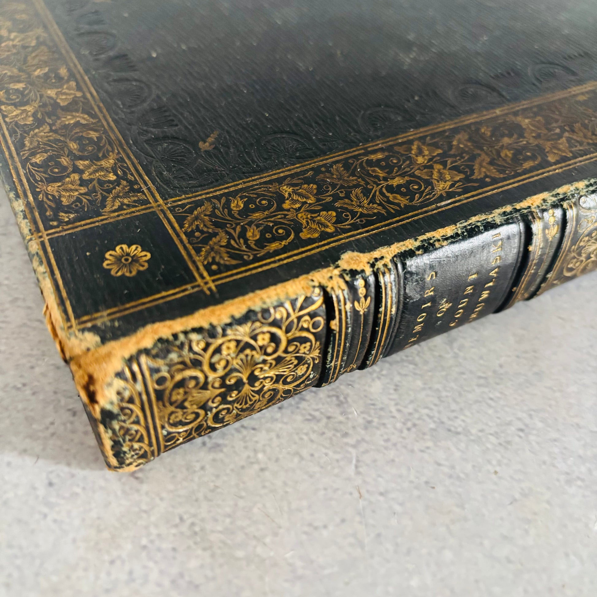 Rare Antique Leather Bound Gilded Book | Memoirs of Count Boruwlaski
