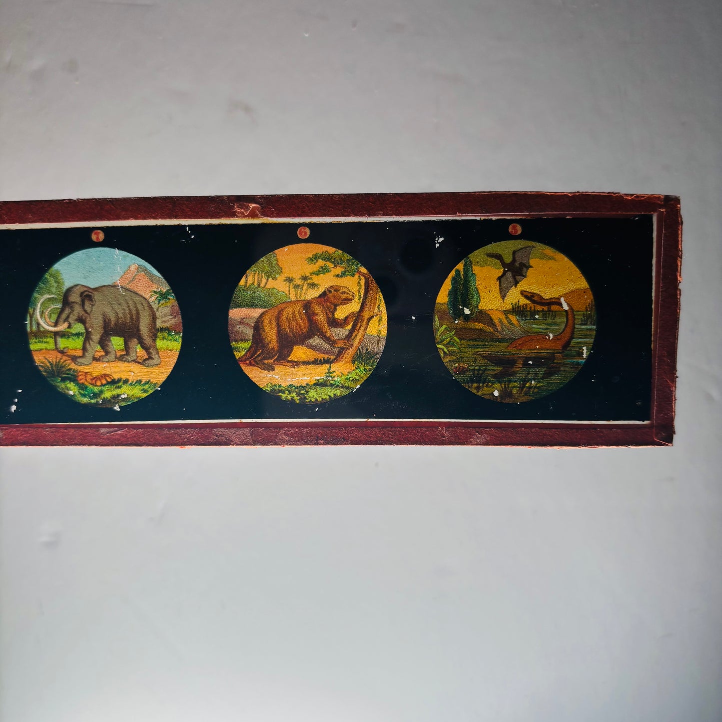 The Director Fabian - Antique Magic Lantern Slides