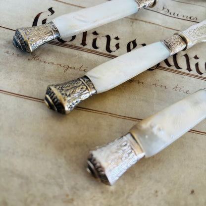 Decorative handles with ornate silver and mother of pearl design on an old document background