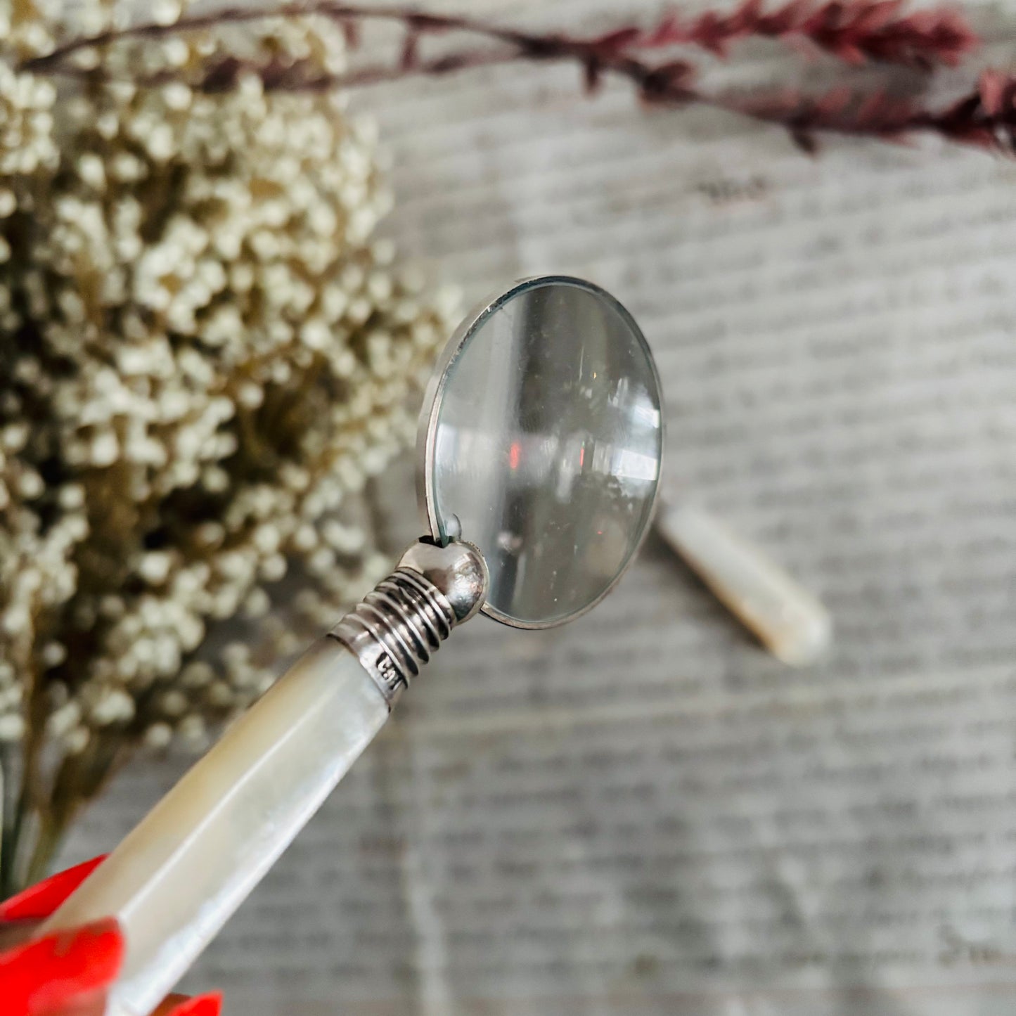 Magnifying Glass with Antique Cutlery Handles | Mother of Pearl & Silver