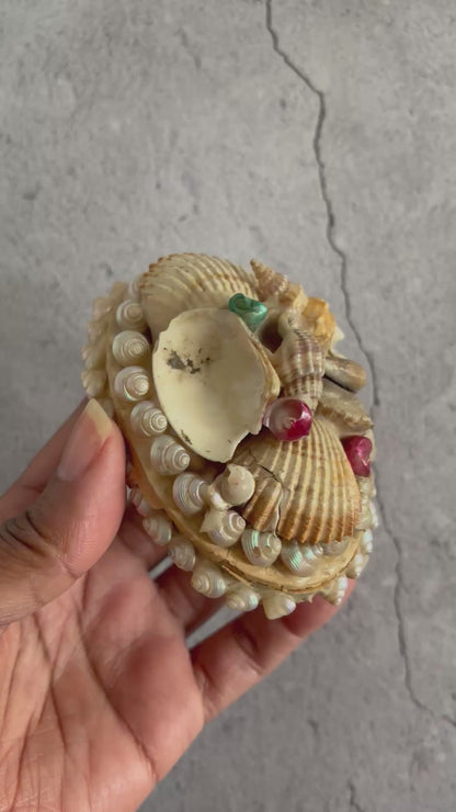 The Director Fowler - Victorian Shell Decorative Lid