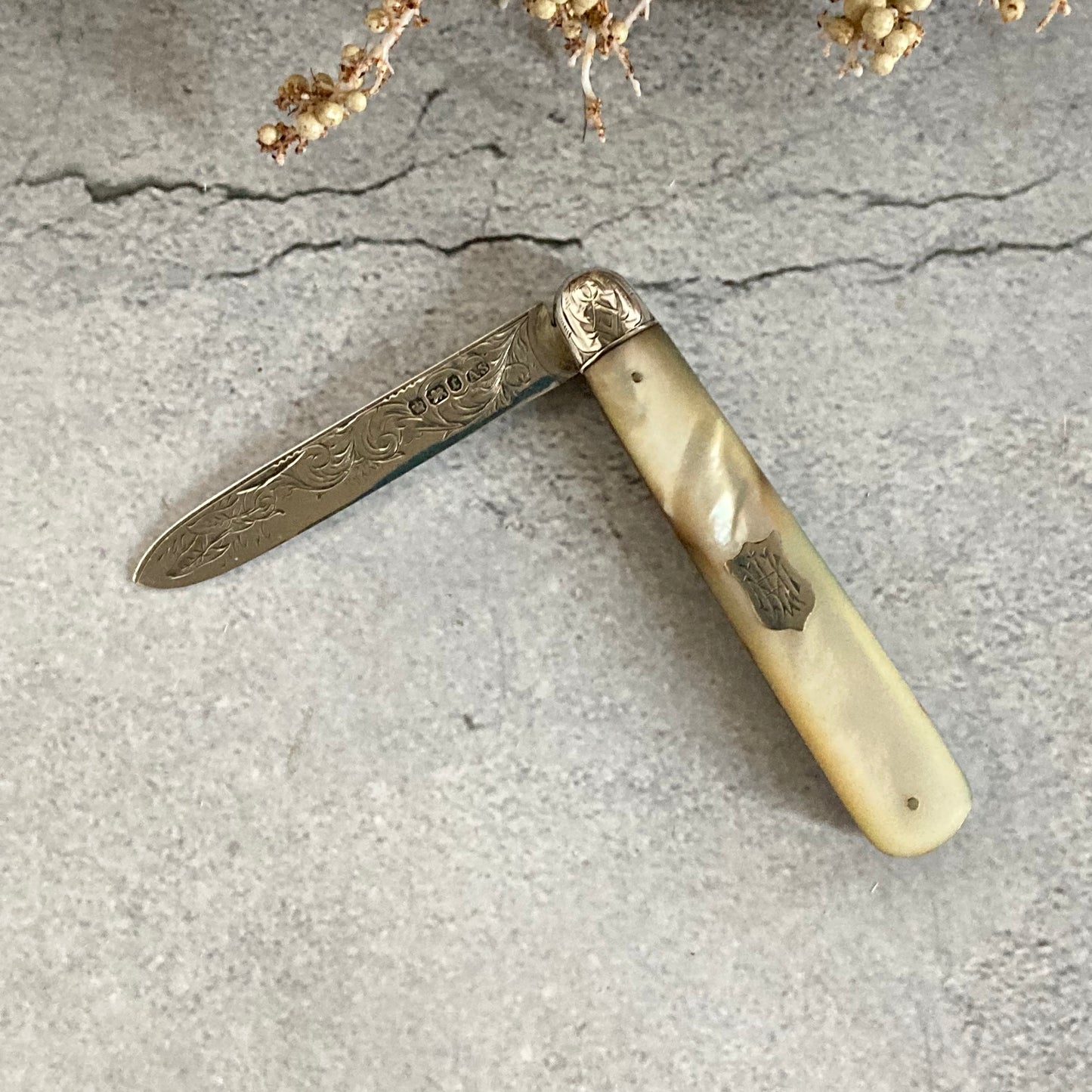 Antique Silver Folding Fruit Knife 1895 