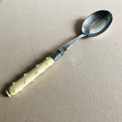 Antique Silver Spoon with Bone Handle