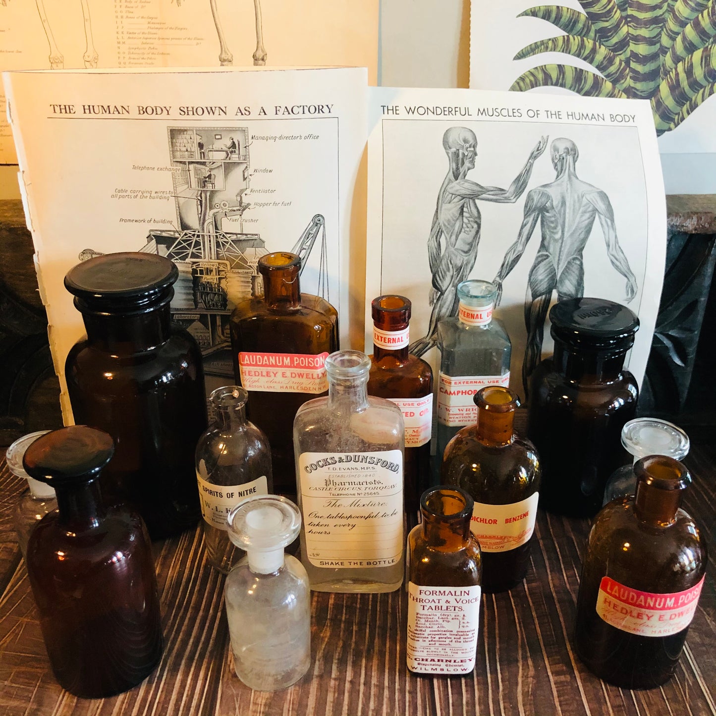 The Artist Nyle - Vintage Apothecary Bottles