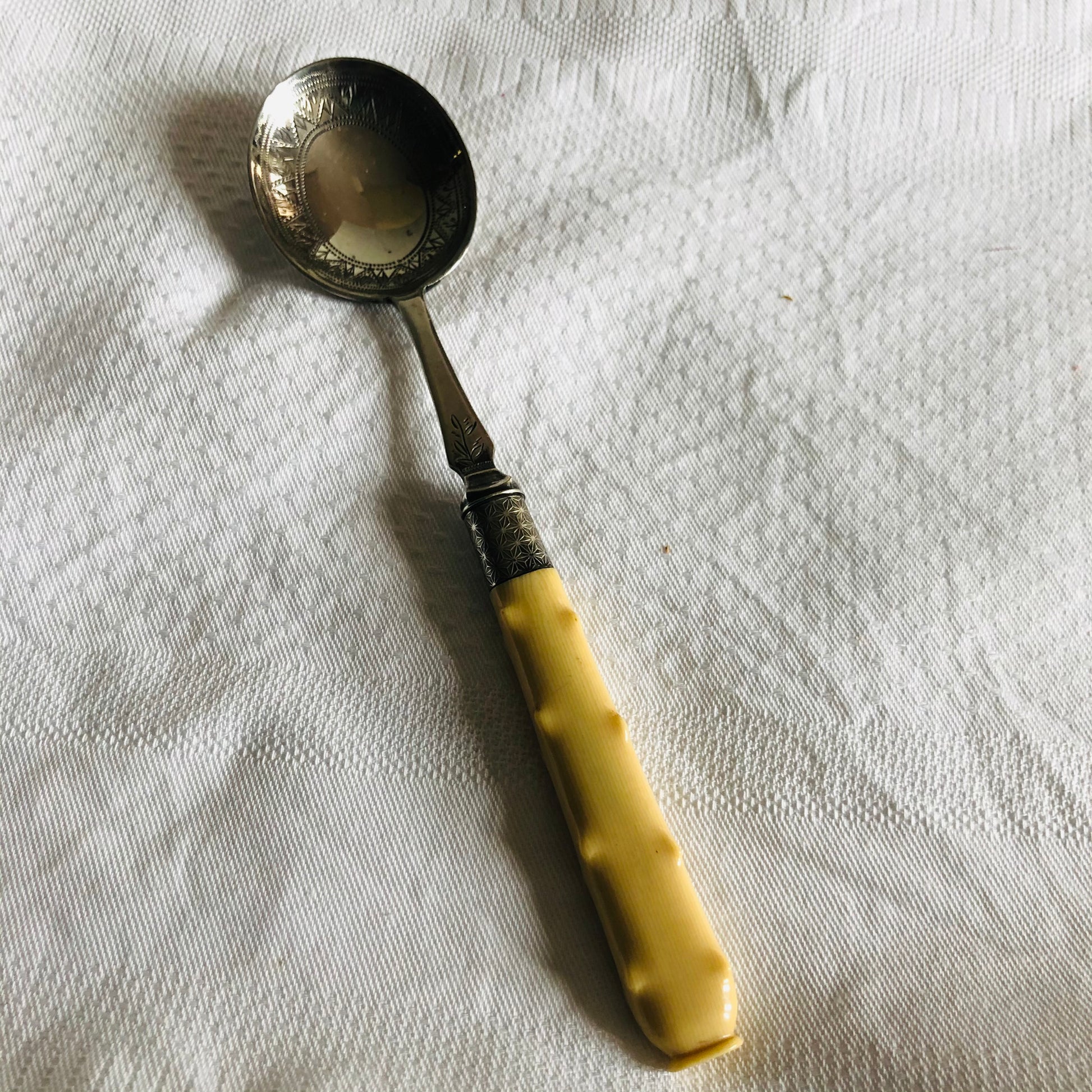Antique Silver Spoon with Bone Handle
