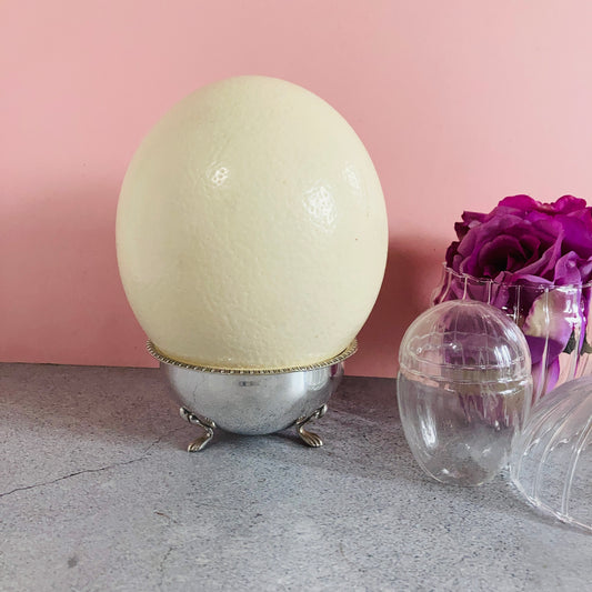Antique Ostrich Egg and Silver Plate Ostrich Cup