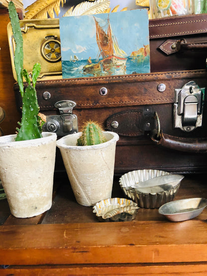 The Director Hunter - Handmade Chalky Stone Plant Pot