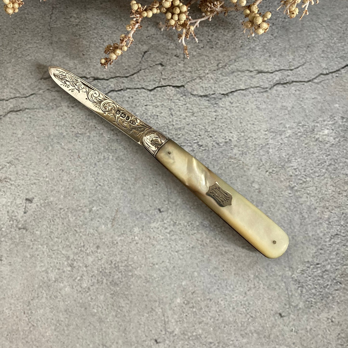 Antique Silver Folding Fruit Knife 1895 