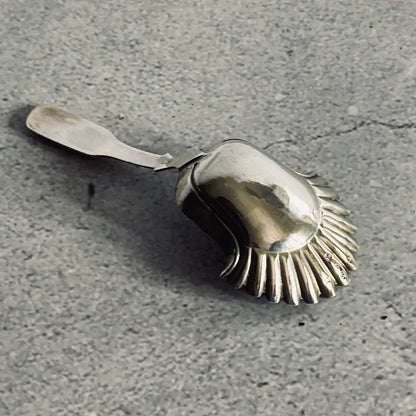 Georgian Sterling Silver Engraved Caddy Spoon Birmingham 1819