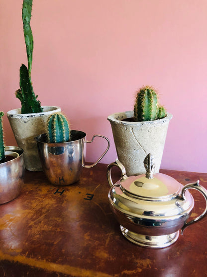The Director Hunter - Handmade Chalky Stone Plant Pot