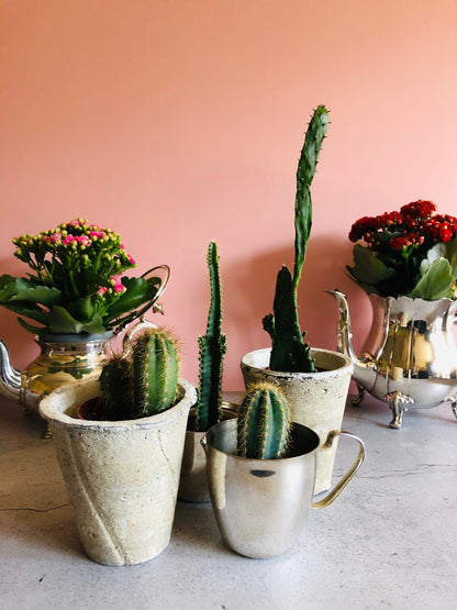 The Director Hunter - Handmade Chalky Stone Plant Pot