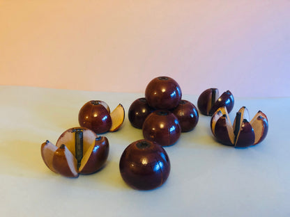 The Director Madison - Vintage Archimedes Apple Fraction Set
