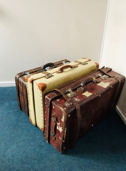 The Goth Brian - Vintage Shabby Chic Suitcase