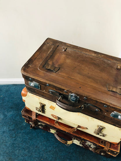 The Goth Brian - Vintage Shabby Chic Suitcase